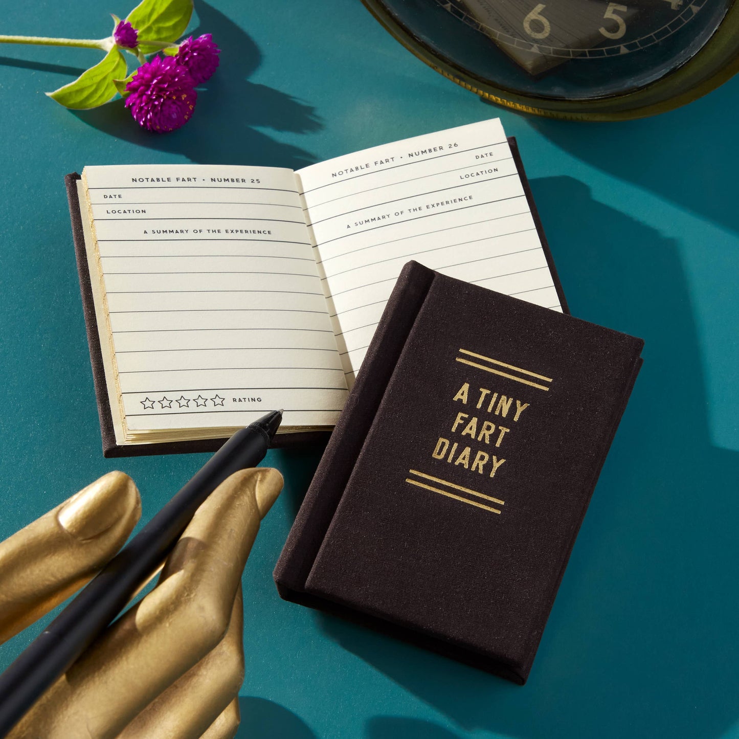 Brass Monkey A Tiny Fart Diary
