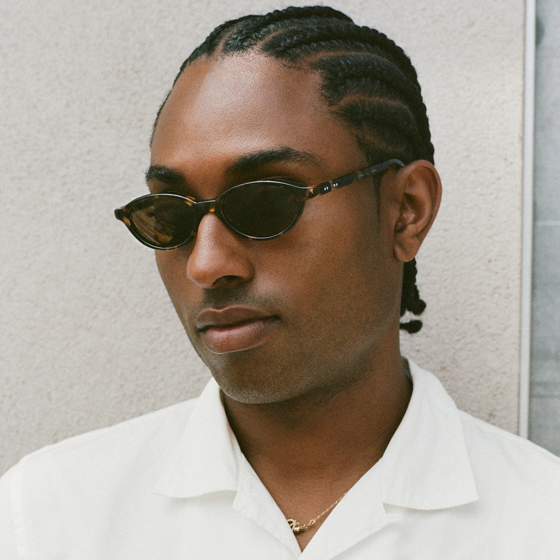 Alien - Tortoise / Brown