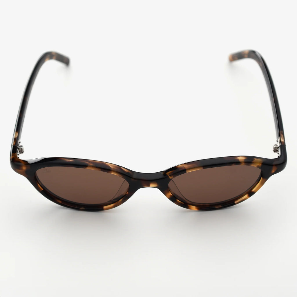 Alien - Tortoise / Brown