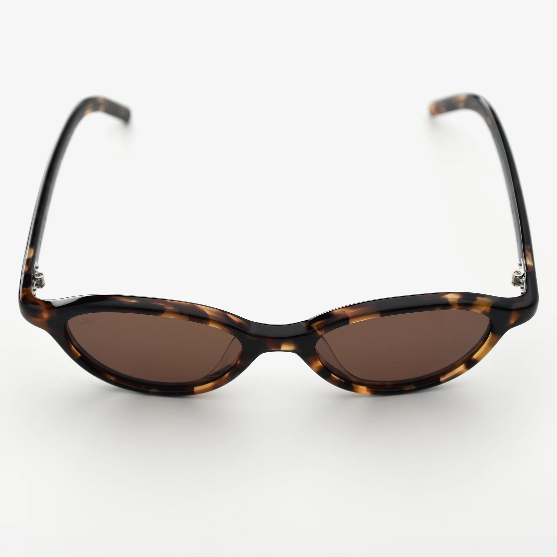 Alien - Tortoise / Brown